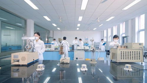 山東高速建材集團(tuán)路用新材料公司以科技創(chuàng)新驅(qū)動(dòng)發(fā)展，深耕新材料技術(shù)研發(fā)