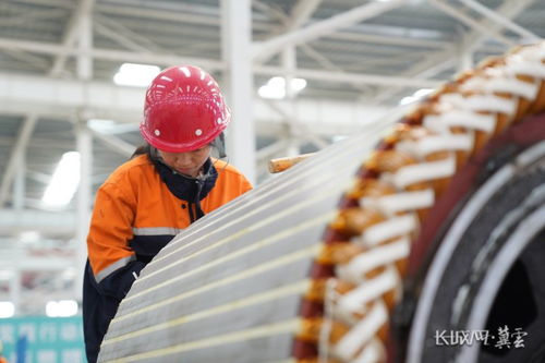 項目一線看發(fā)展 邯鄲 機械 發(fā)動機 激活裝備制造新活力