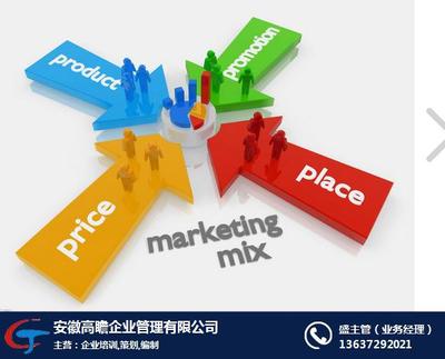 項目投資實施方案報告與高瞻管理在線咨詢服務